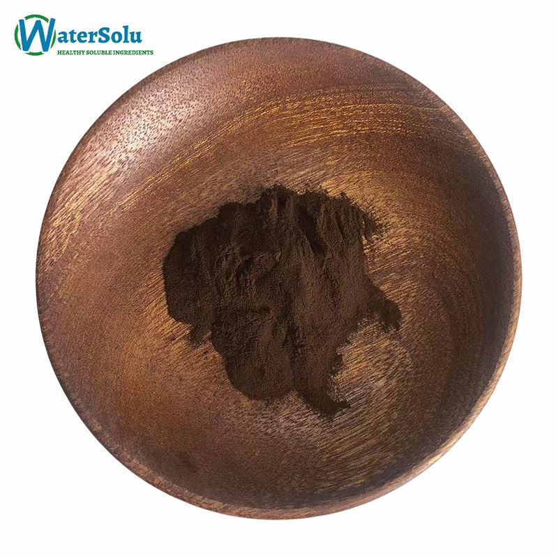 Ganoderma Lucidum Extract Powder